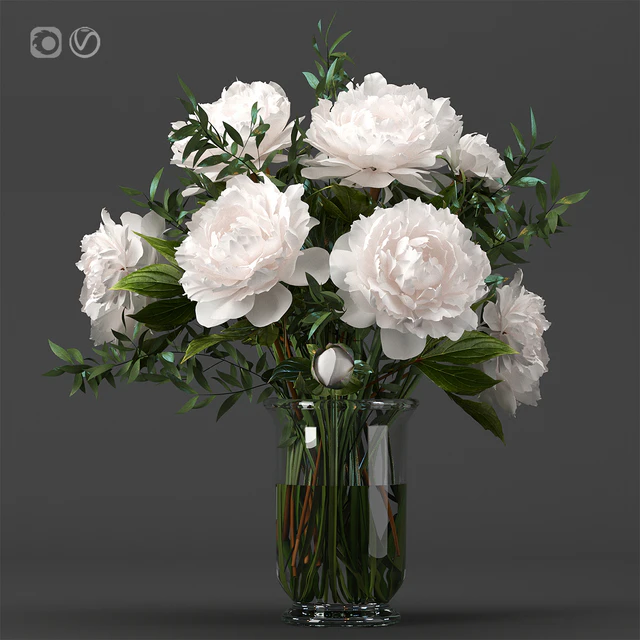 Bouquet 8 — Descargar