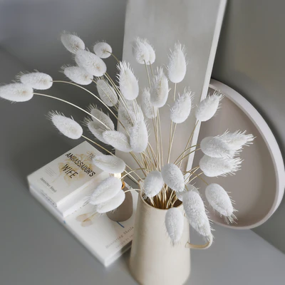 Decorative set # 13 — Ver 4