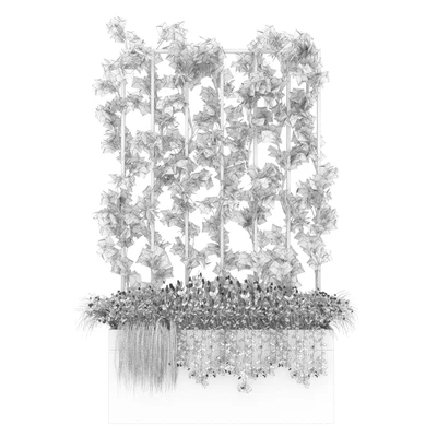 Collection plant vol 36 — Вид 2