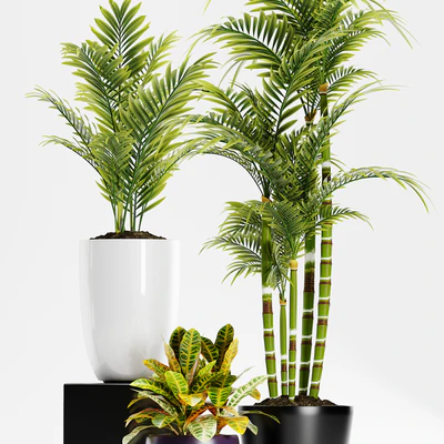 PLANTS 158 — Вид 2