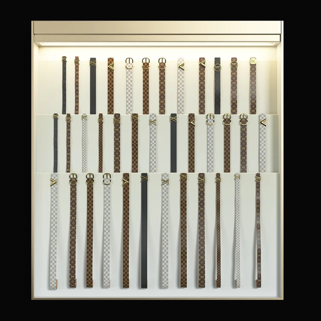 Showcase with straps Louis Vuitton — Descargar