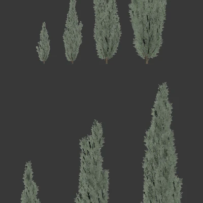 Thuya. Set of 7 models — Ver 3