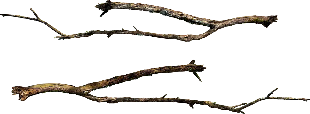 wooden branch 001 — Скачать