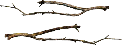 wooden branch 001 — Скачать