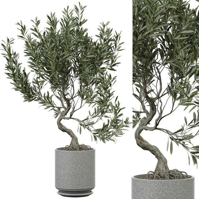 indoor Plant 373 — Descargar