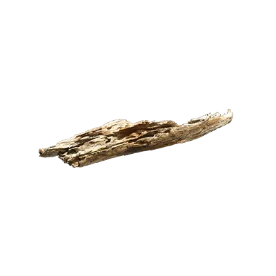rotten wood debris 002 — Descargar