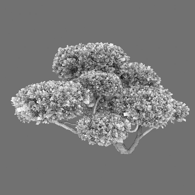 Bonsai — Скачать