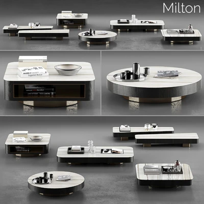 Minotti Milton Coffee Tables — Ver 1