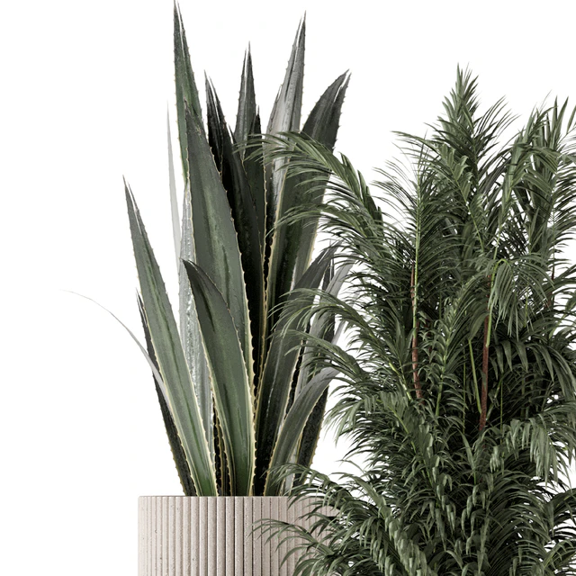 Indoor Plants in Standing Legs Small Bowl Concrete Pot - Set 788 — Descargar