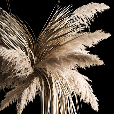 Hanging bouquet of dry reeds and pampas grass for decoration and interior. 266. — Ver 5