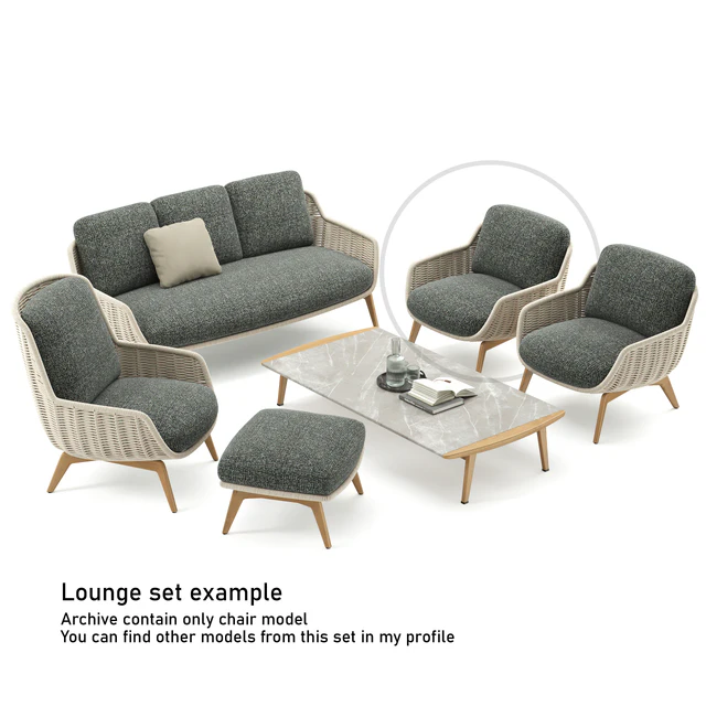 Outdoor Garden Woven Lounge Armchair Belt Cord — Descargar