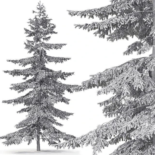 Spruce — Скачать