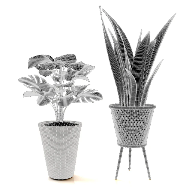 plant collection set 02 — Скачать