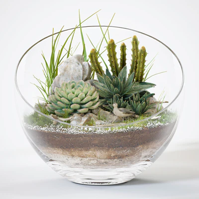 Florarium — Ver 1