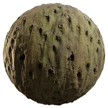 bay laurel bark 001 — Скачать