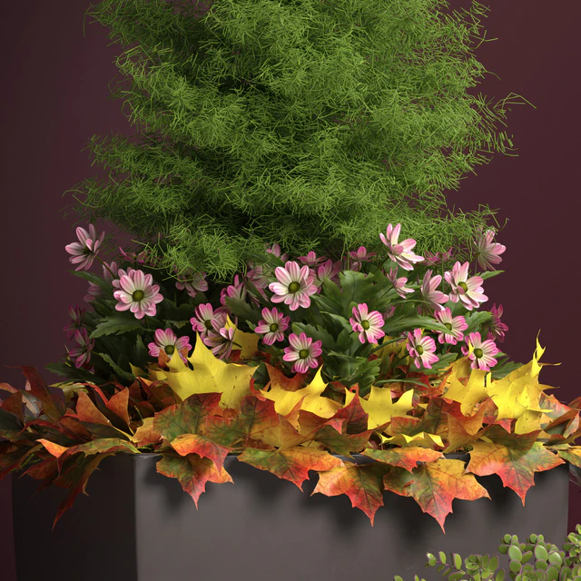 PLANTS 121 — Descargar