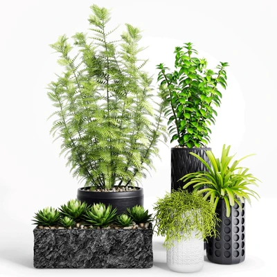 Plants and Planters   5 — Ver 1