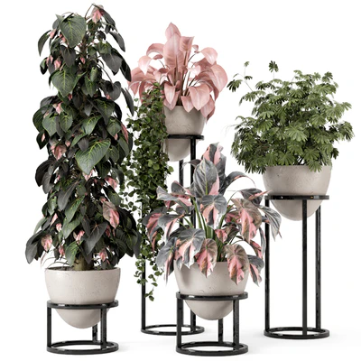 Indoor Plants in rusty Concrete Pot on Metal Shelf - Set 964 — Ver 1