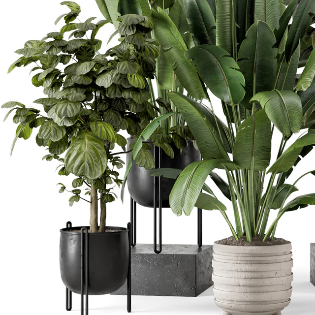 Indoor Plants in Ferm Living Bau Pot Large - Set 1208 — Скачать