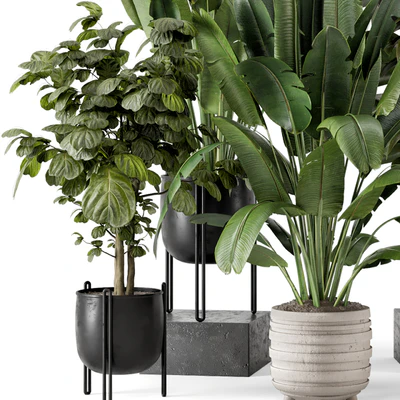 Indoor Plants in Ferm Living Bau Pot Large - Set 1208 — Вид 5