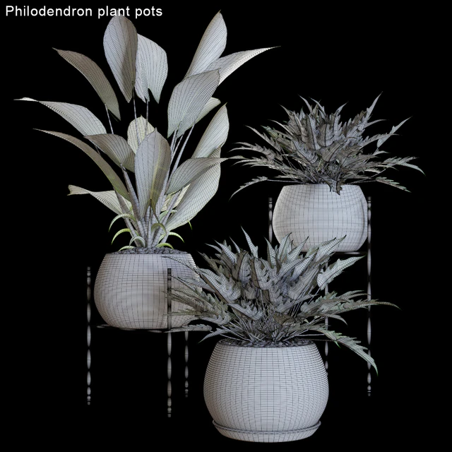 Philodendron plant pots #2 — Скачать