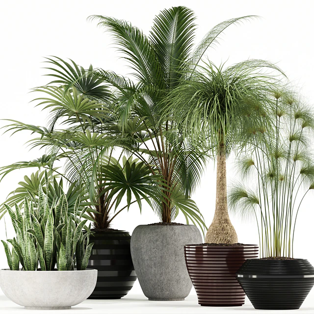 Plants collection 103 — Descargar