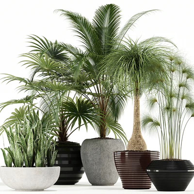 Plants collection 103 — Ver 1