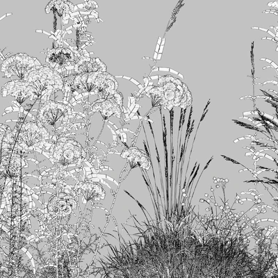 Meadow 10 — Ver 3