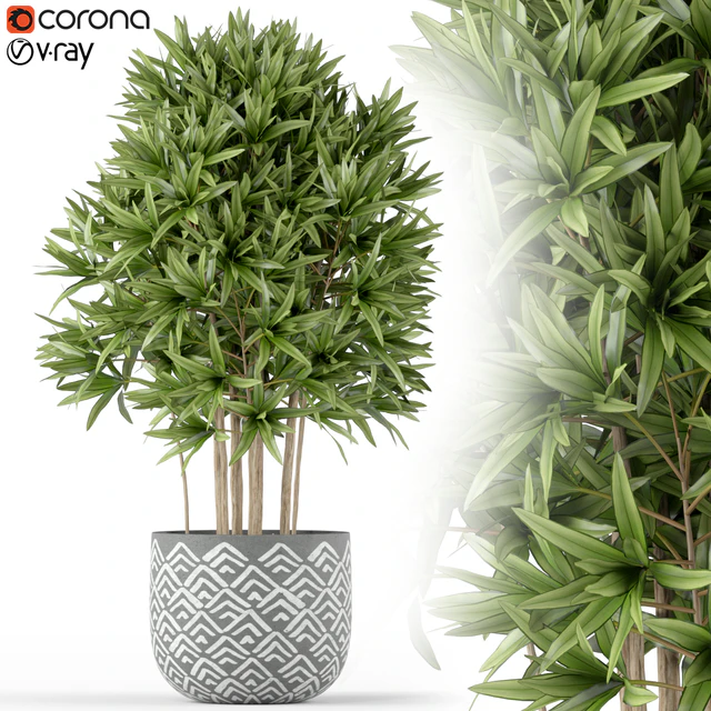 Plants collection 224 — Descargar