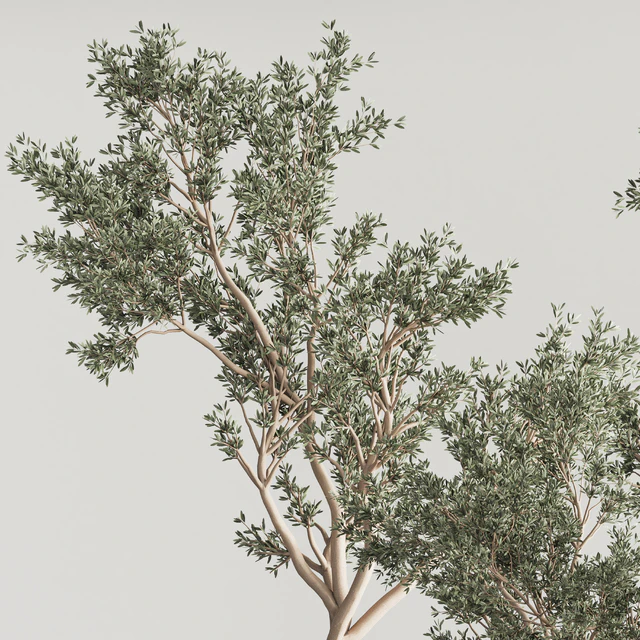 Indoor Plant Set 58 — Descargar