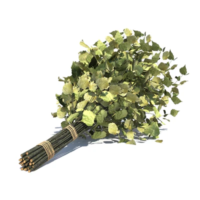 Birch broom for a bath or sauna — Ver 1