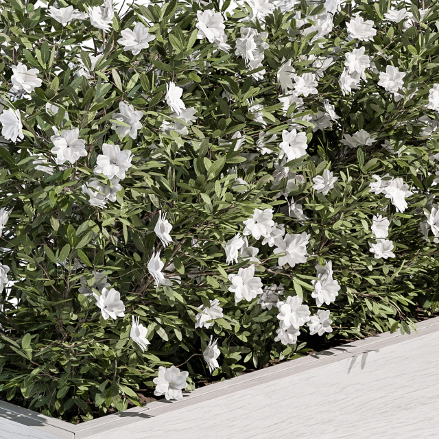 Outdoor Plant Set 304 - Plant Box — Descargar