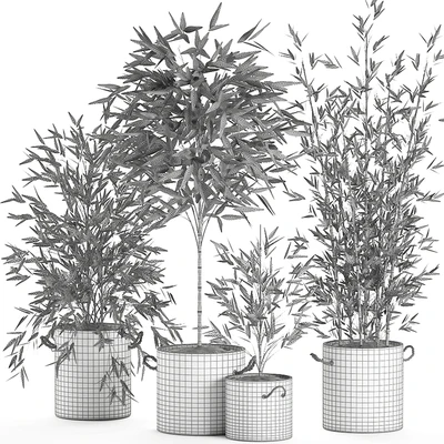 A collection of beautiful small lush bamboo bushes in concrete pots with bamboo handles. Set 596. — Ver 2