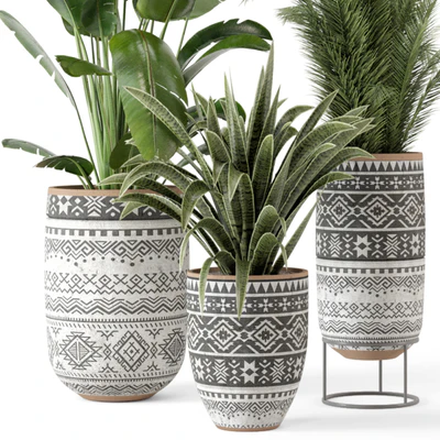 Indoor Plants  in rusty Concrete Pot - Set 628 — Вид 5