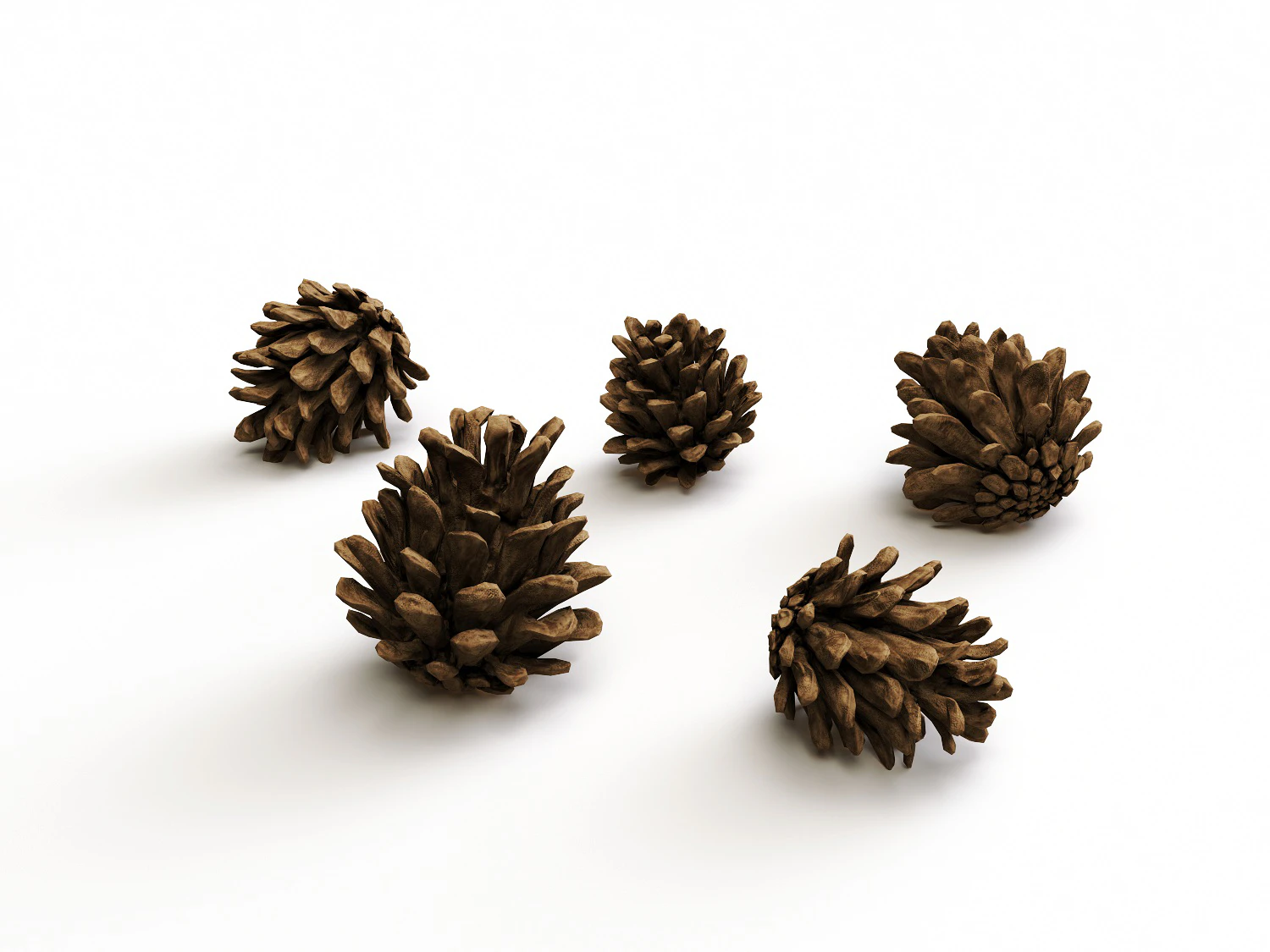 pine cone set — Скачать