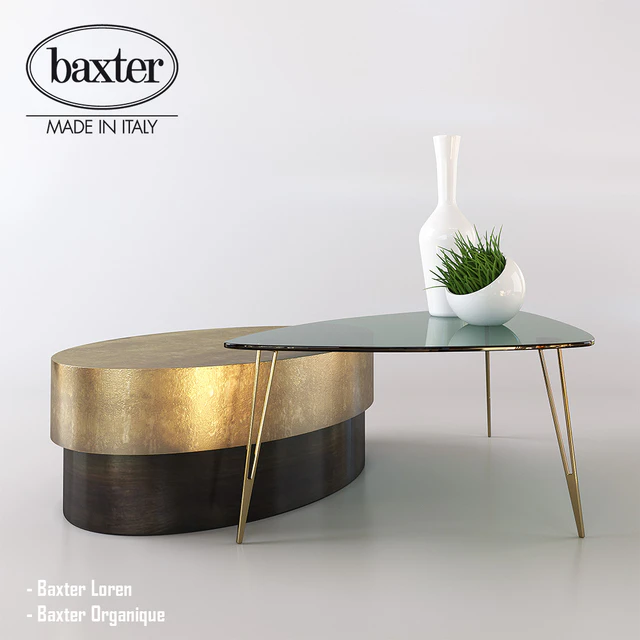 Baxter - Loren - Organique — Descargar
