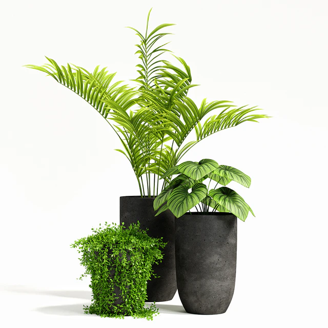 plants set 03 — Скачать