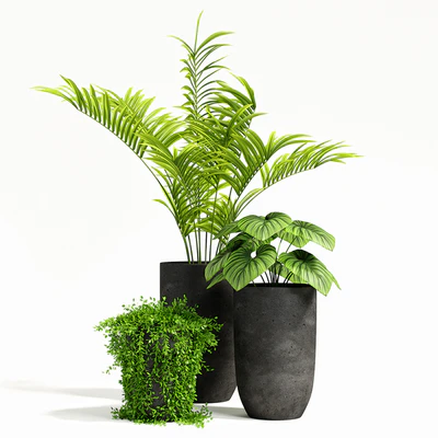 plants set 03 — Вид 1