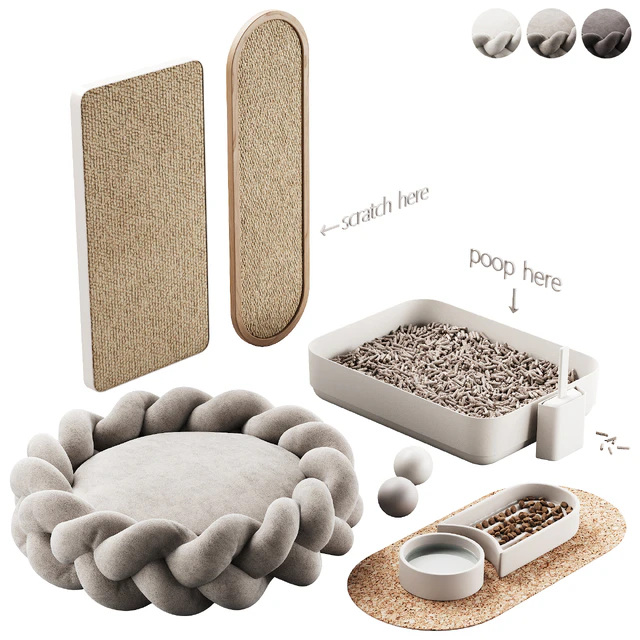 448 pets accessories 01 equipment for cats and dogs P1 — Descargar
