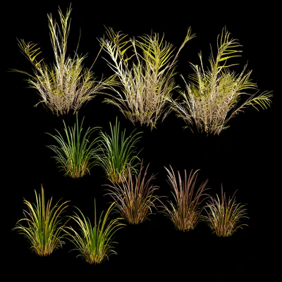 Meadow Lawn Grassland Set 003 — Ver 3