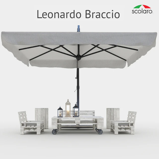 Leonardo Braccio — Descargar