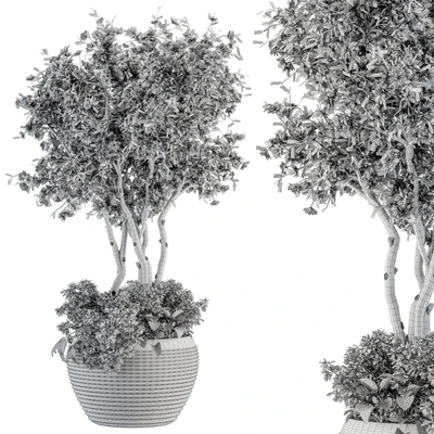 Outdoor Plant Set 352- Purple Flower Tree in Old Pot — Ver 4