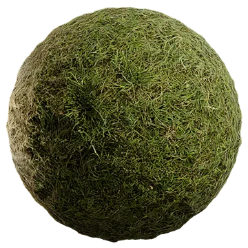 uncut grass 018 — Скачать