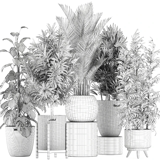 Collection of plants in flower wicker baskets with Monstera, bamboo bush, palm, Raphis Palm, Dracaena. Set 632. — Descargar