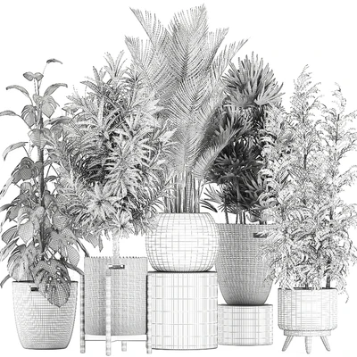Collection of plants in flower wicker baskets with Monstera, bamboo bush, palm, Raphis Palm, Dracaena. Set 632. — Ver 2