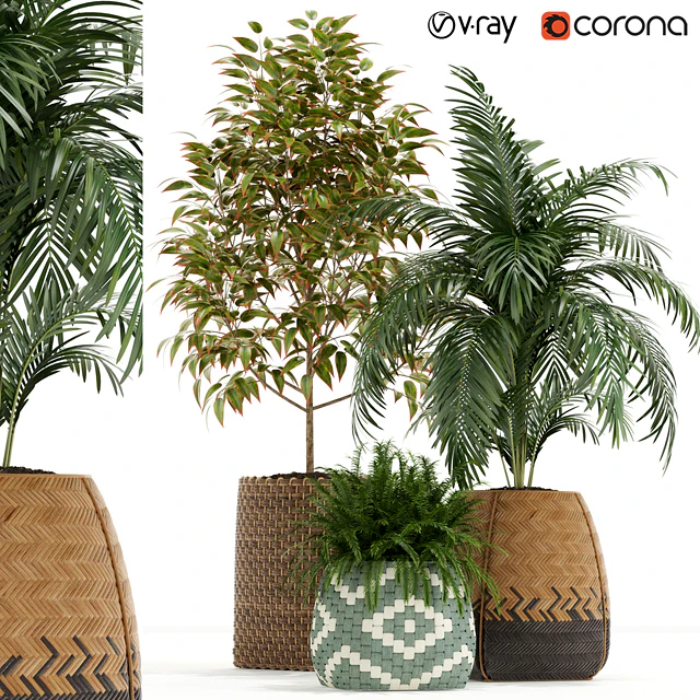 Plants collection 126 — Descargar