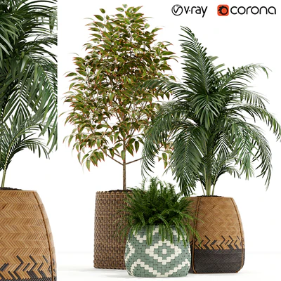 Plants collection 126 — Ver 1