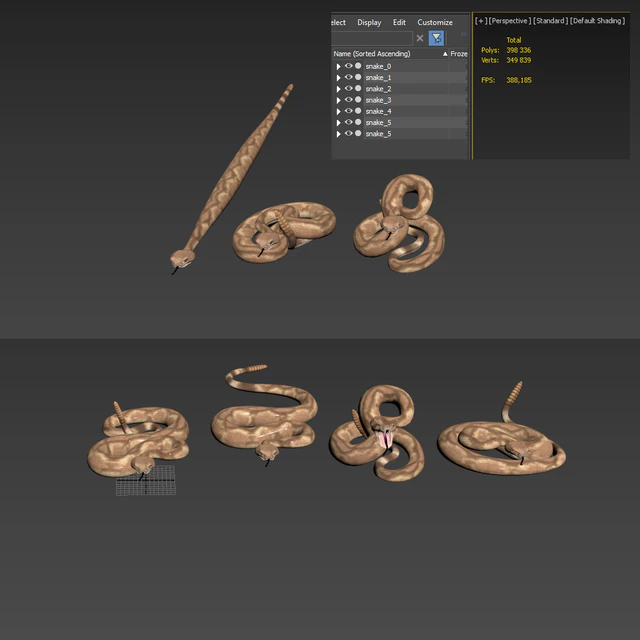 Rattlesnake — Download