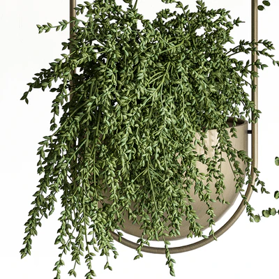 indoor Plant Set 410 - Hanging Plants — Ver 4
