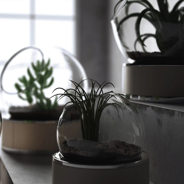 plant set ART Auctor — Descargar